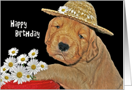 Happy Birthday Golden Retriever with Daisy Basket card