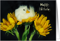 Sunny card