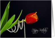 Happy Birthday-tulip...