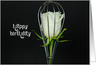 white rose in wire whisk isolated on black card