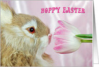 Easter, bunny smelling pink tulip card