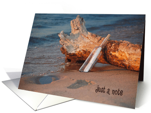 Blank card, message in a bottle with driftwood on the beach card