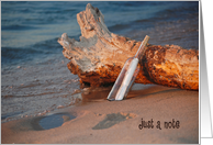 Blank card, message in a bottle with driftwood on the beach card