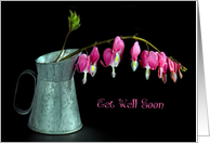 Get Well Soon pink bleeding hearts in old metal pitcher on black card