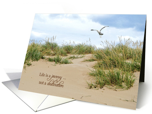 Inspiration quote, beach grass on sand dune with seagull card (431084)