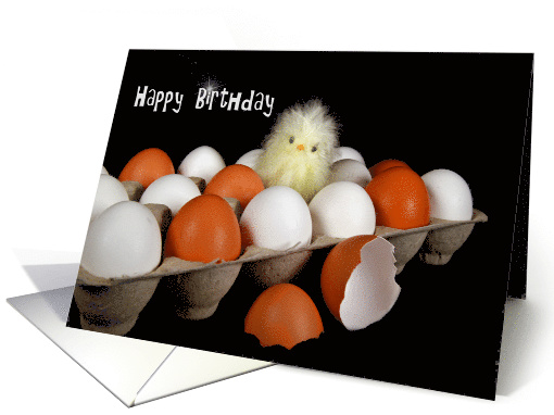 Birthday from first born, baby chick in carton of eggs card (442312)