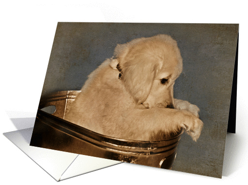 Thinking of you with Golden Retriever puppy in vintage tub card
