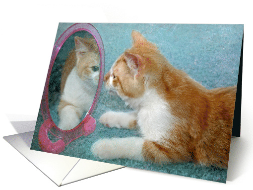 Humorous Birthday tabby cat looking in mirror card (446790)