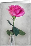 Birthday-pink rose...
