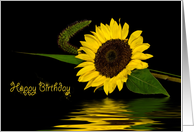 Birthday sunflower...