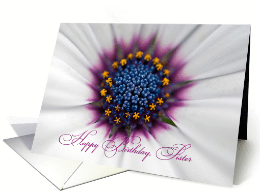Sister's Birthday-close up of a white daisy card (510425)