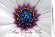 Sister’s Birthday-close up of a white daisy card