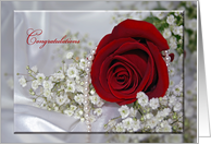 red rose and pearls for wedding congratulations card