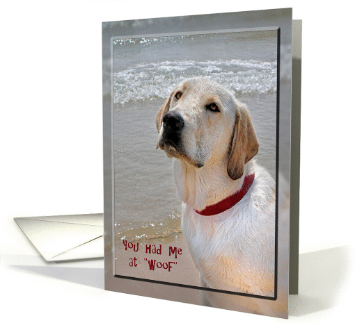 Anniversary for spouse with Labrador Retriever on the beach card