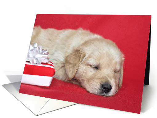 Golden Retriever Puppy with Christmas Gift On Red card (524293)