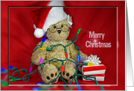 Christmas lights with teddy bear and gifts card