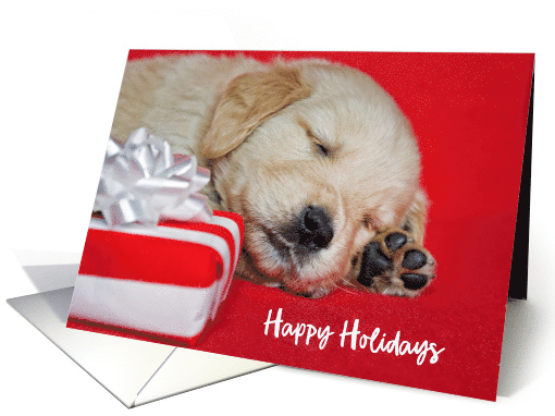 Happy Holidays golden retriever puppy with Christmas gift on red card