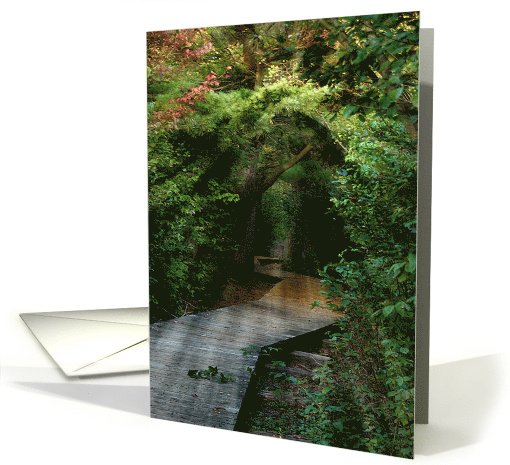 Sunbeams in Forest With Wooden Walkway for Sympathy card (534182)