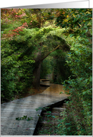 Sunbeams in Forest With Wooden Walkway for Sympathy card