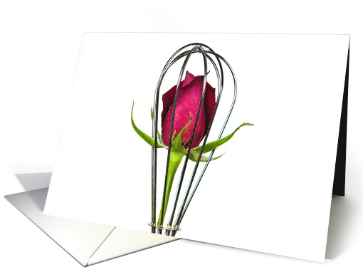 Red Rose In a Whisk Isolated On White card (546377)