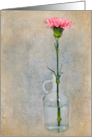 Pink Carnation card