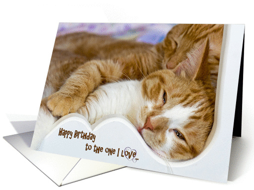 Birthday romance with tabby kittens snuggling card (554136)