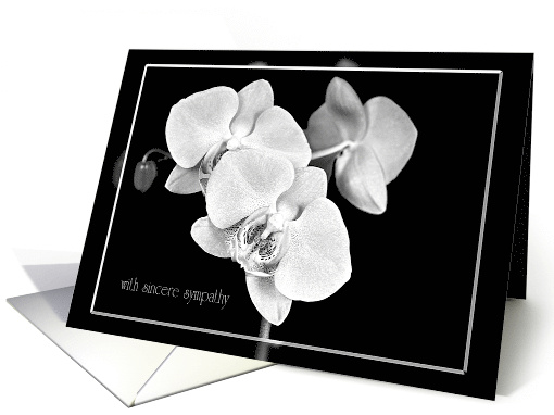 Sympathy White Orchid Blossoms on Black card (569083)