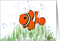 birthday-clown fish and starfish in seaweed card