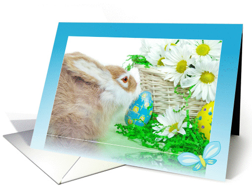 Easter bunny with basket of daisies and eggs card (592125)
