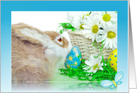 Easter bunny with basket of daisies and eggs card