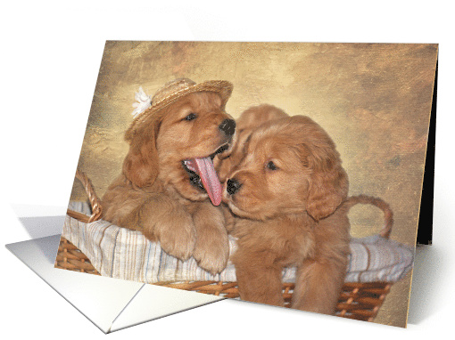 cute Golden Retrievers puppies in a basket for humorous birthday card