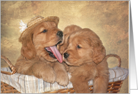 cute Golden Retrievers puppies in a basket for humorous birthday card