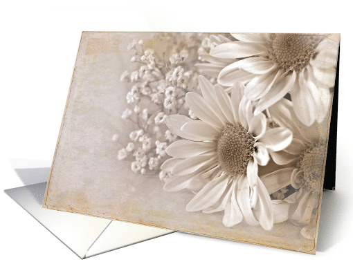 daisy bouquet with textured old-fashioned sepia overlay card (596401)