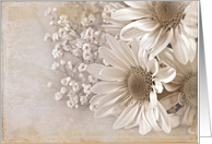 daisy bouquet with textured old-fashioned sepia overlay card