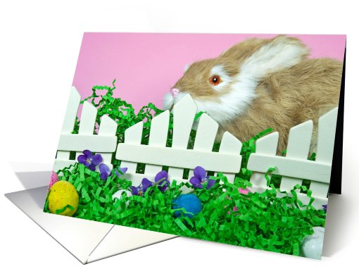 Easter Hoppy card (597550)