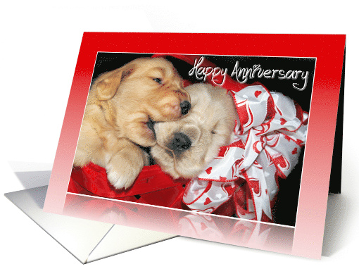 Anniversary, Golden Retriever puppies in a red basket card (605785)