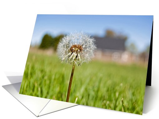 Just Dandy card (616301)