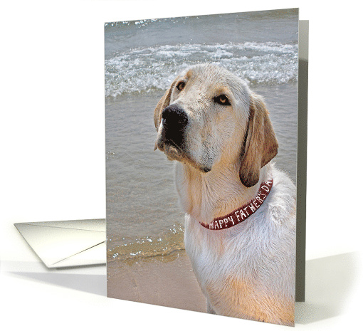 Father's Day Labrador Retriever on the Beach with Red Collar card