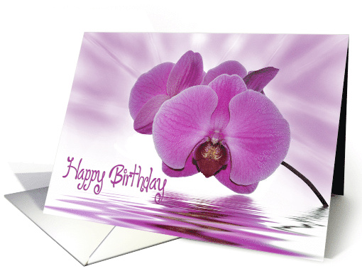 Pink Orchid Blossoms with Water Reflection for Birthday card (624580)