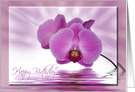 Birthday-orchids with water reflection card