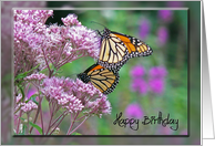 Butterfly Birthday card