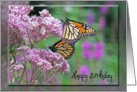 Butterfly Birthday card