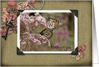 thinking of you monarch butterfly in snapshot photo frame card