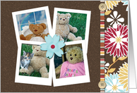 Birthday Bears, Teddy Bear Collection card