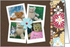 Birthday Bears, Teddy Bear Collection card