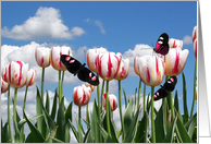 Birthday butterflies in tulip garden card