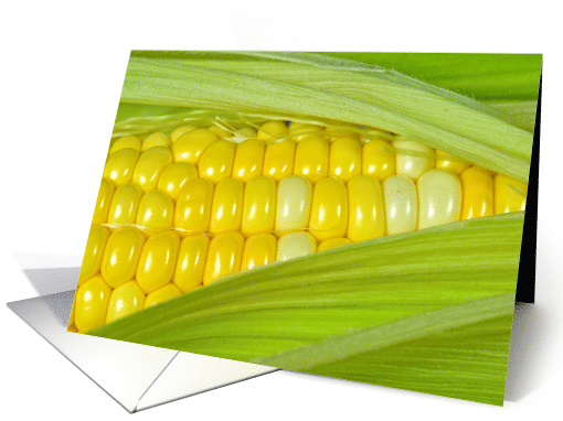 Close Up of Corn On The Cob In Husk card (647796)