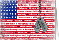 military thank you, dog tags on American flag card