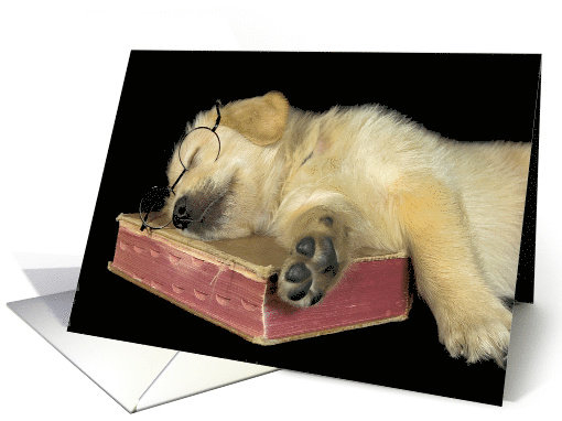 Birthday Golden Retriever puppy sleeping on old book card (683768)