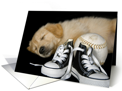 birthday for kid-golden retriever pup with sneakers and softball card